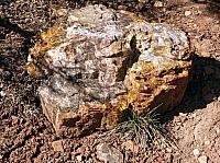 Escalante state park (14).JPG